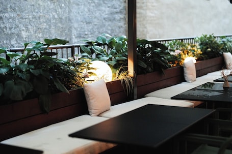 Terraza o patio