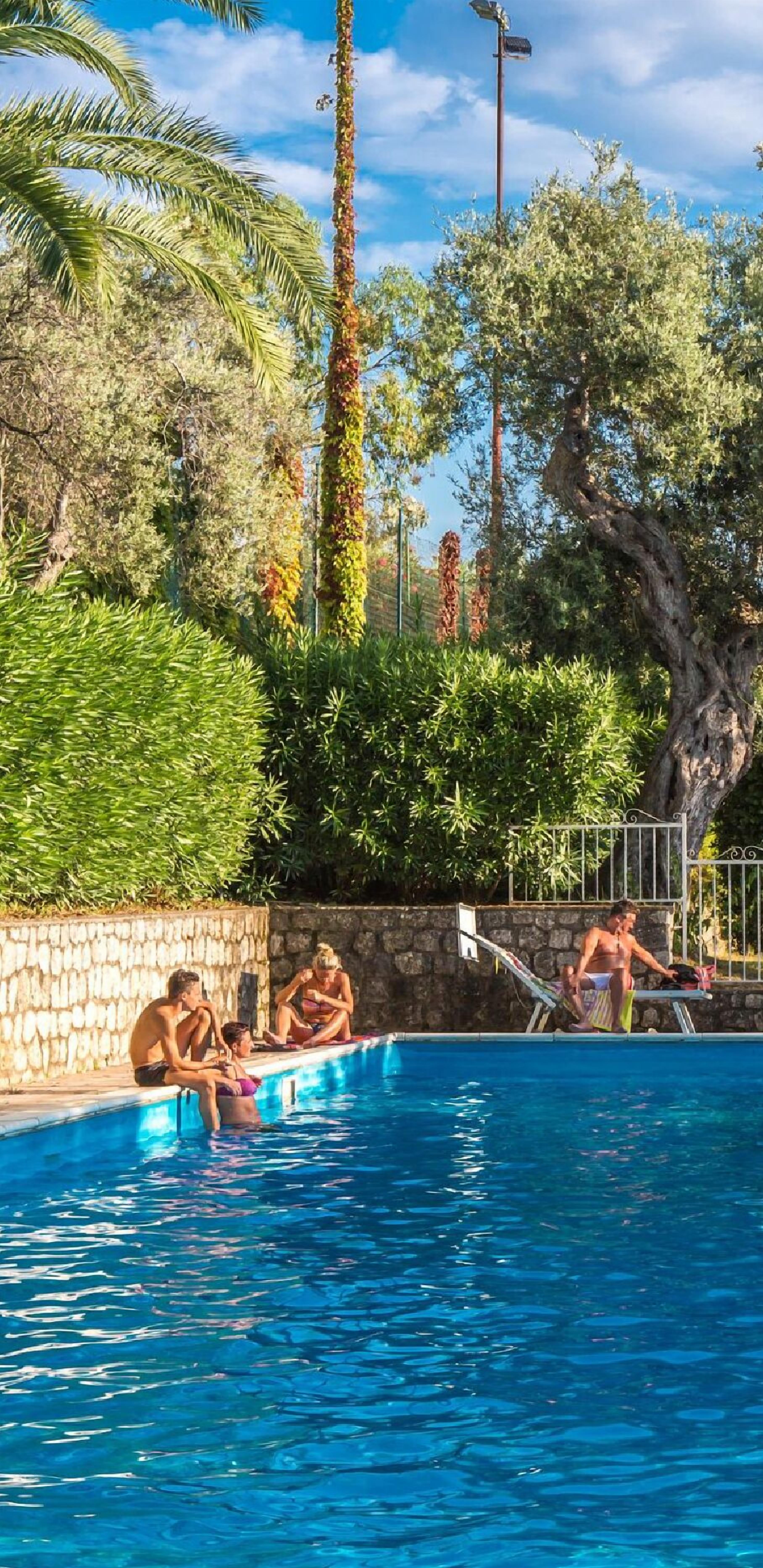 Alberca al aire libre por temporada y sombrillas en la alberca 