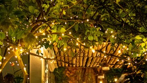An outdoor seating area with a pergola covered in string lights, surrounded by lush greenery. - La Reserva Vedado (Havana)