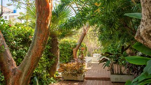 A brick pathway surrounded by lush greenery and large trees. - La Reserva Vedado (Havana)