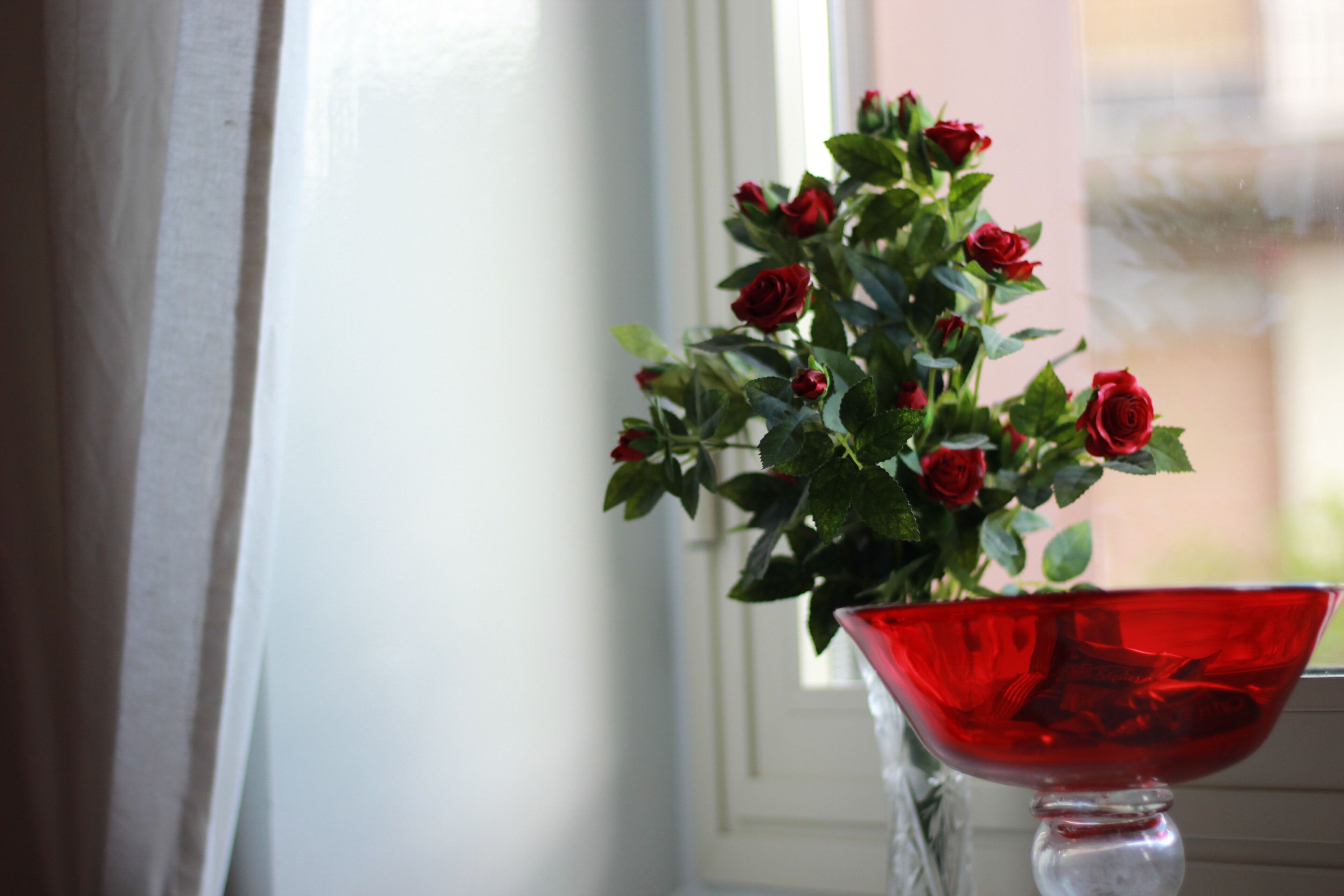 A red glass bowl with a bouquet of red roses on a windowsill.