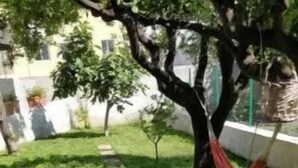 Un jardín con un sendero de piedra que lleva a una hamaca bajo un árbol.