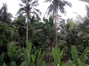Jardín