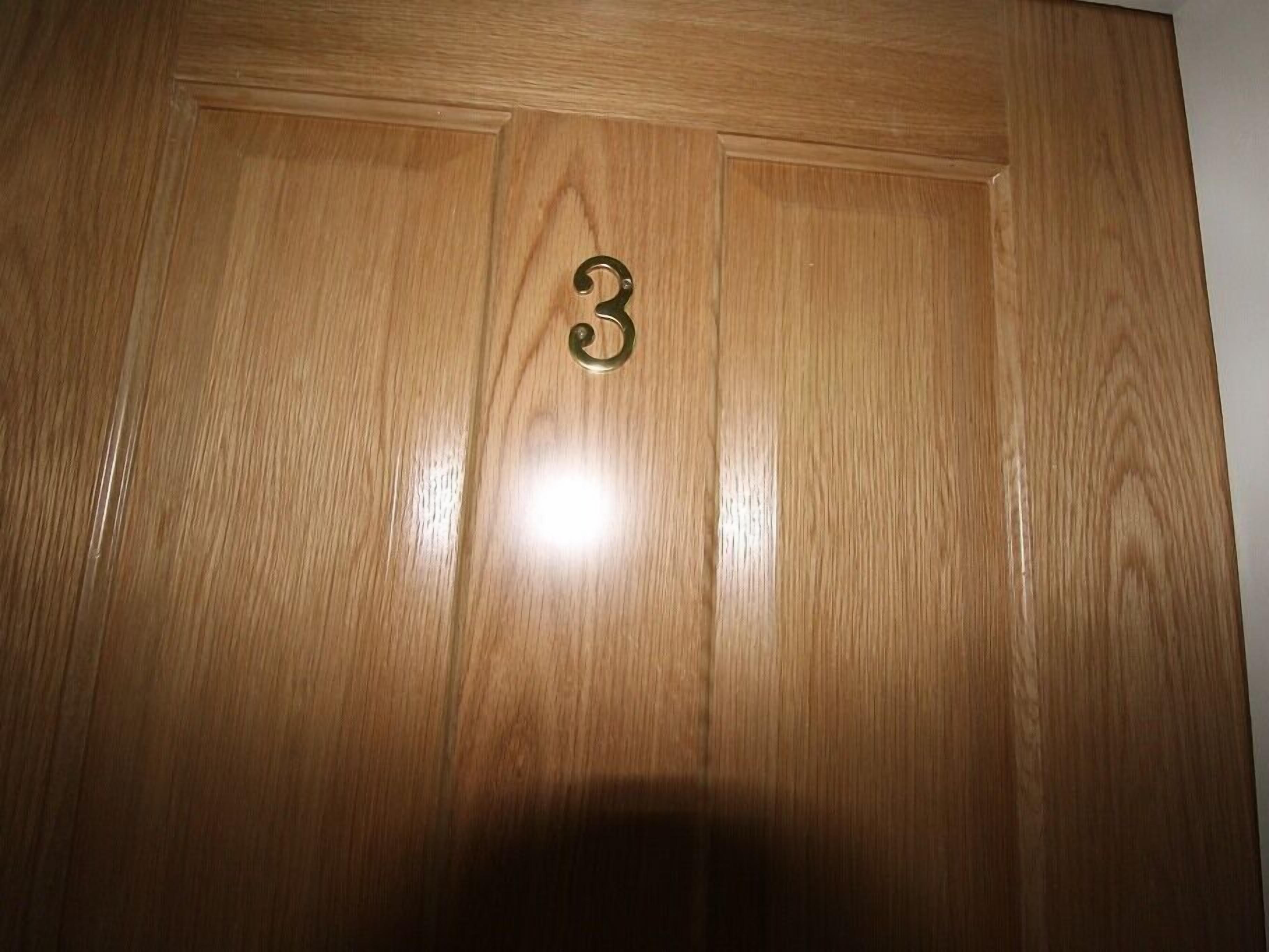 A wooden door with a brass number plate displaying the number 3.