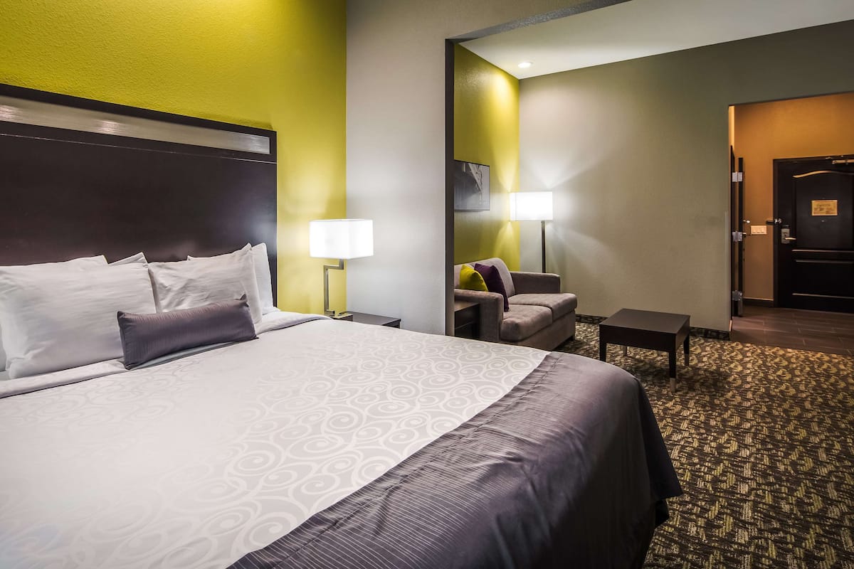 Suite, 1 kingsize bed, toegankelijk voor mindervaliden, koelkast en magnetron (with Single Sofabed) | Een bureau, een laptopwerkplek, een strijkplank/strijkijzer, wifi
