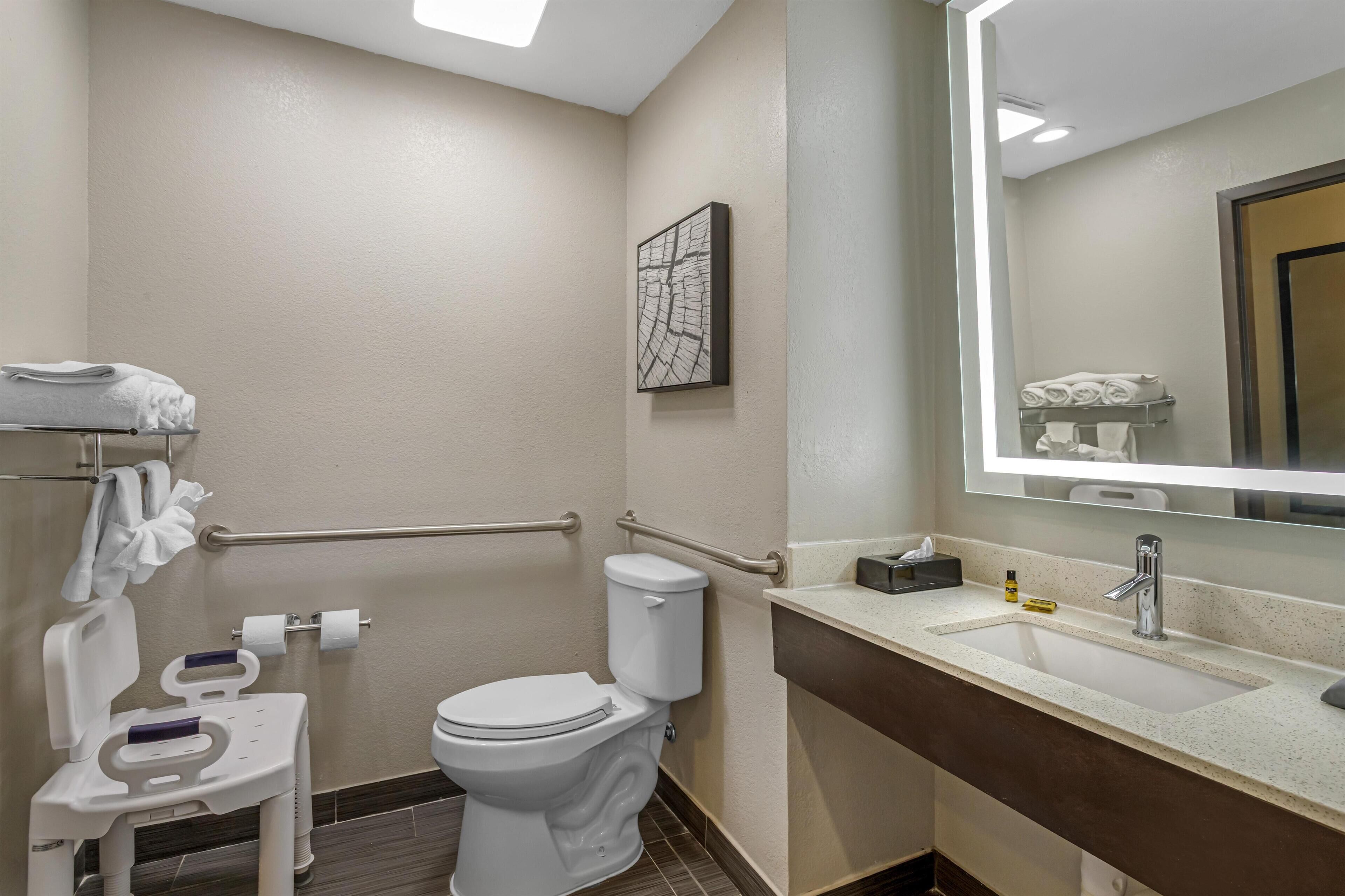 Een badkamer met toilet, handgrepen, een wastafel en een spiegel.