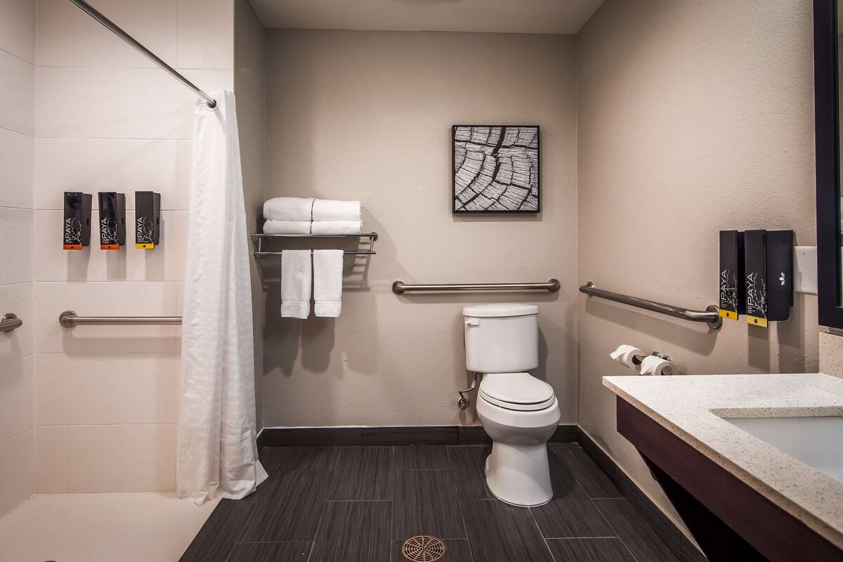 standard room, 1 king bed, accessible, non smoking | bathroom | free toiletries, hair dryer, towels, soap