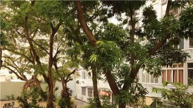 A courtyard with trees, a concrete wall, and a building in the background. - GoHouse Copacabana 204 B (Rio de Janeiro)