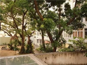 Vườn