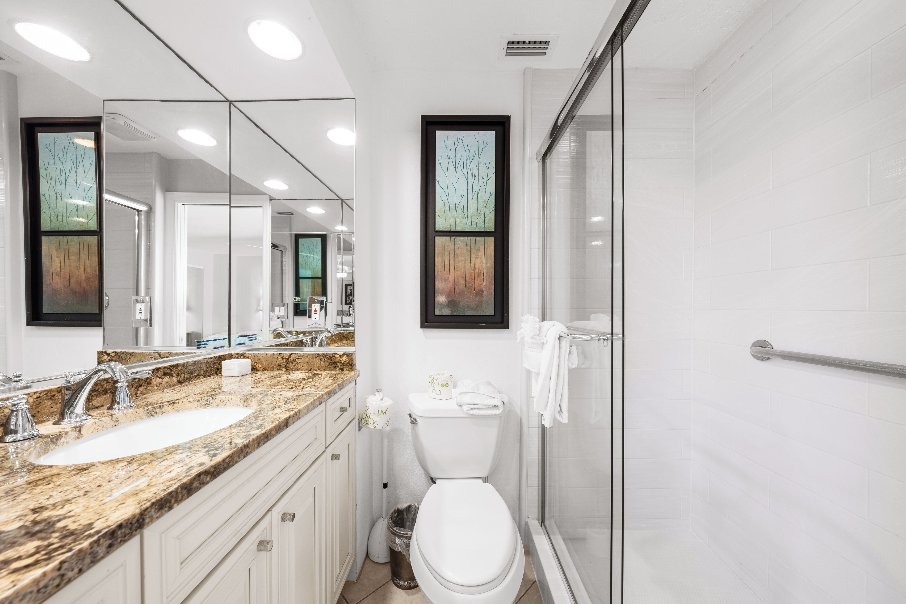 Une salle de bain moderne avec un lavabo sur un plan de travail en granit, des toilettes et une douche à paroi de verre.