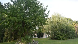 Ein gepflegter Garten mit einem großen Baum, einer grünen Rasenfläche und einem Gebäude im Hintergrund.