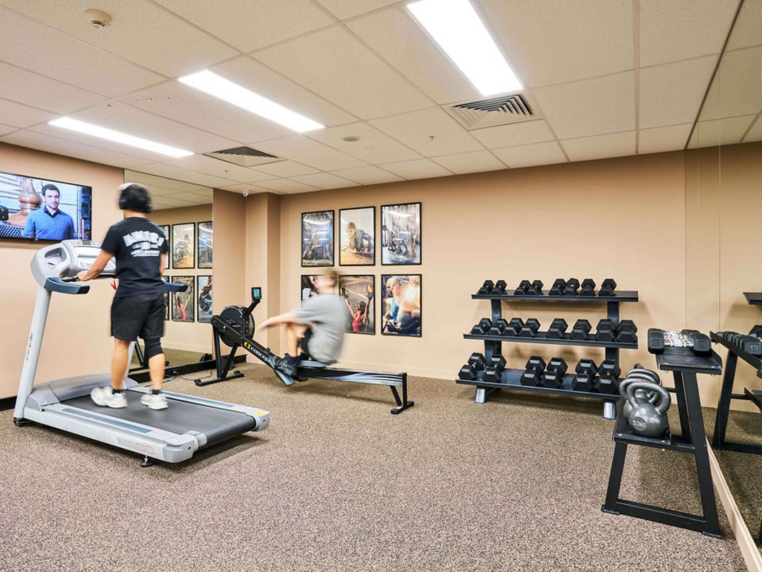Un gimnasio con cintas de correr, una máquina de remo y un estante con mancuernas.