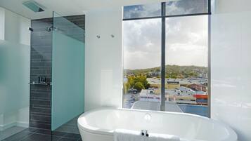 Shower, eco-friendly toiletries, hair dryer, towels