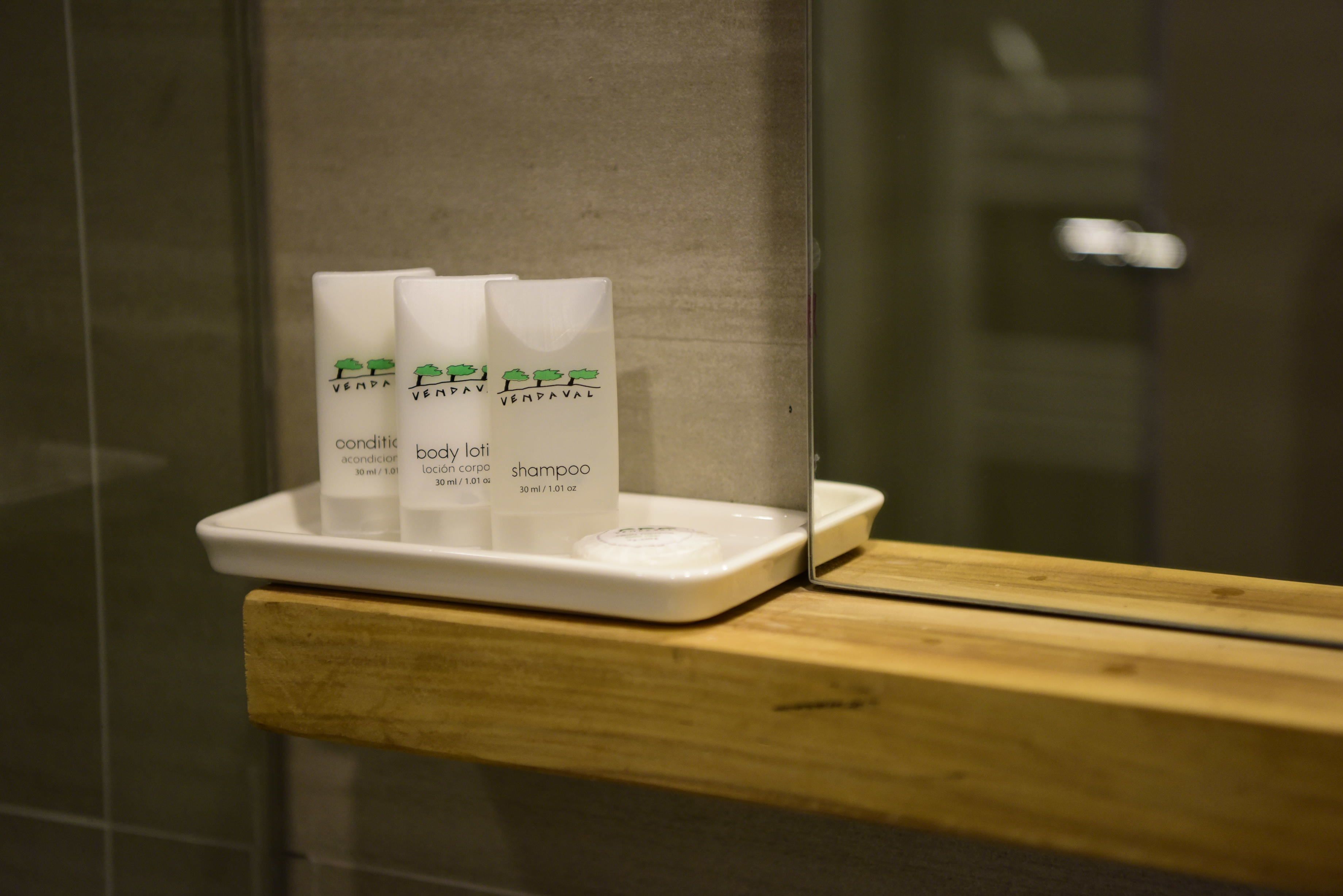 shower, rainfall showerhead, free toiletries, hair dryer