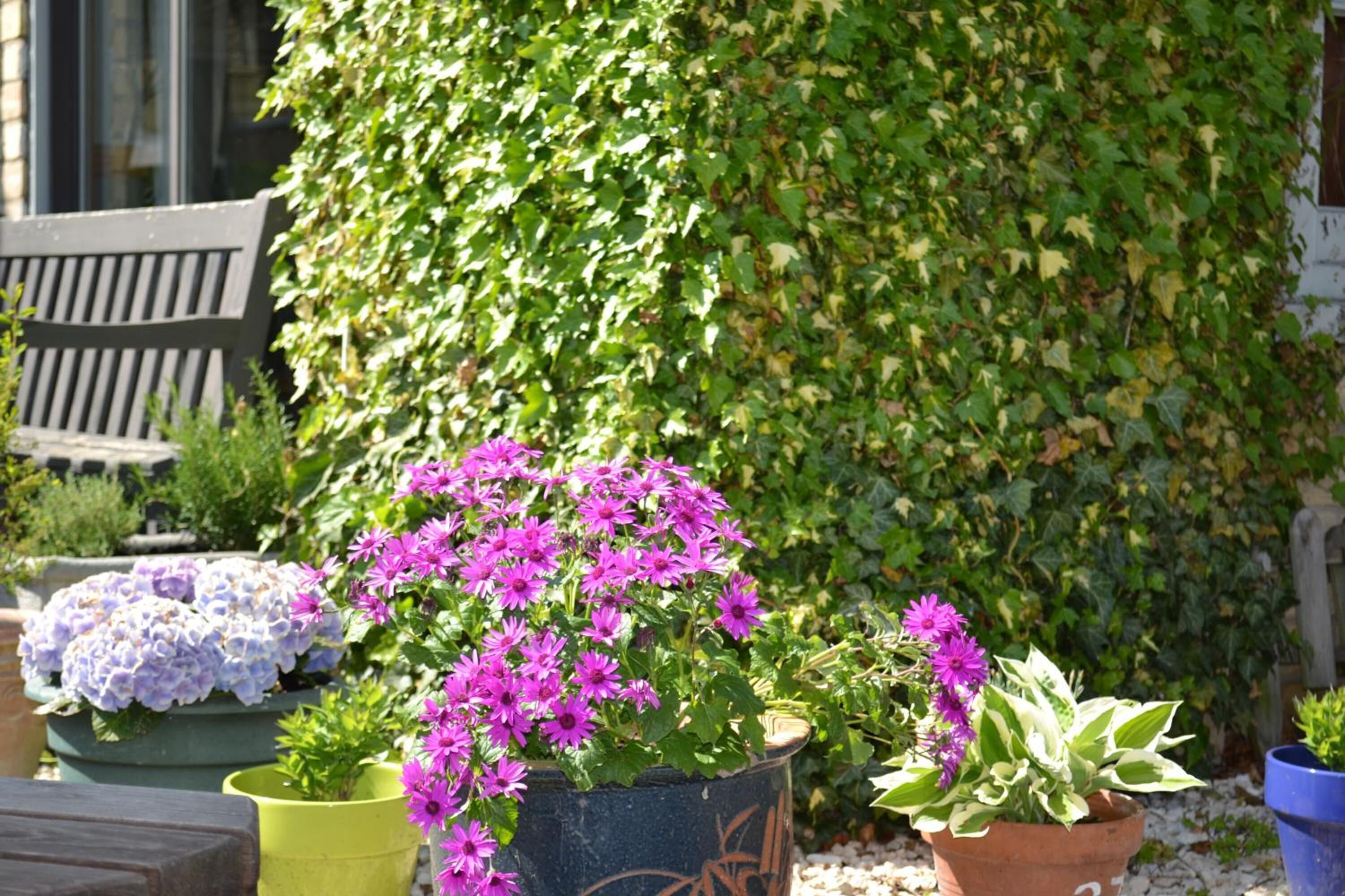 Foto - The White Hart Country Inn