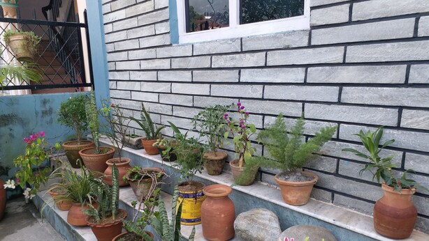 Diverses plantes en testos disposades sobre un rellat de pedra davant d'un edifici amb paret de maó i una finestra.