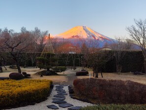 Jardín