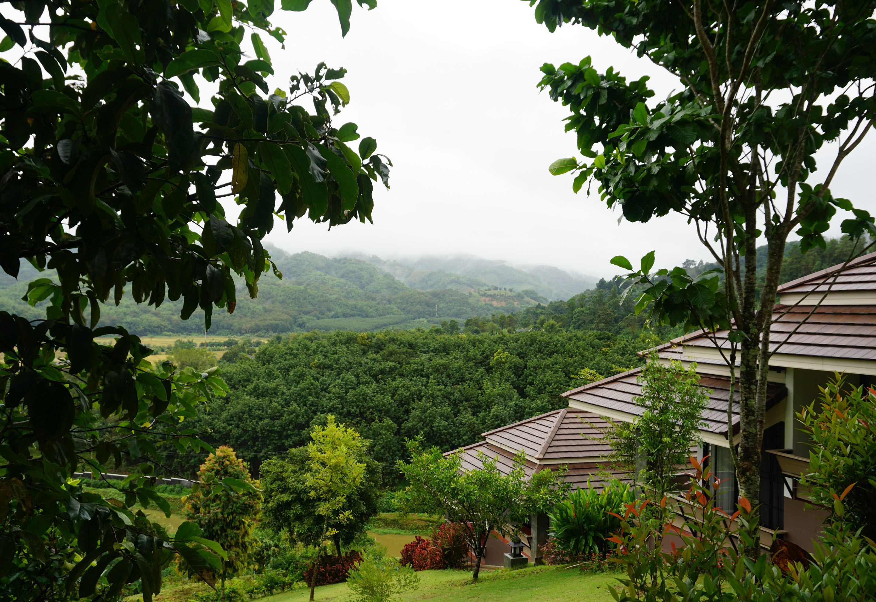 Uitzicht vanuit accommodatie