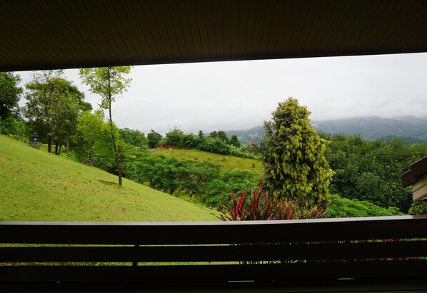Vista desde la propiedad