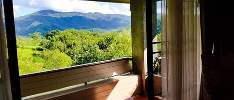 Deluxe Room, Balcony | Balcony