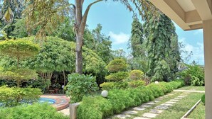 Un exuberante jardín con diversos árboles y arbustos, un sendero de piedra y una piscina.