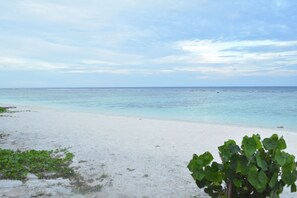 บนชายหาด