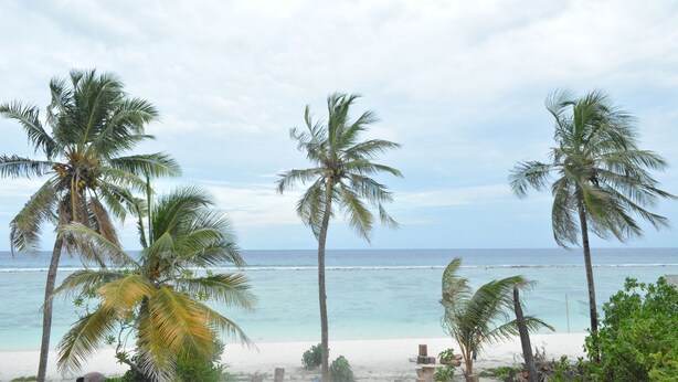 A beach with palm trees and a view of the ocean. - The Aquzz (Hulhumalé)
