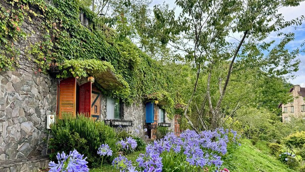 Een stenen gebouw met een houten deur en luiken, omringd door weelderige begroeiing en paarse bloemen.