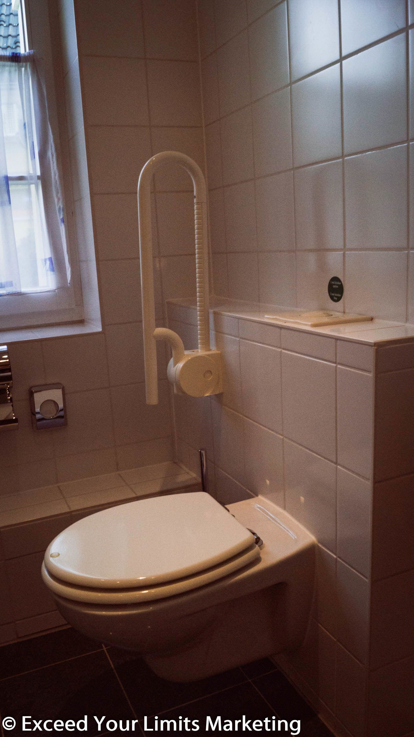 A bathroom with a toilet, a shower, and a window with curtains.