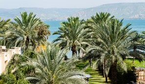 Küstenlandschaft mit Palmen und blauem Meer.