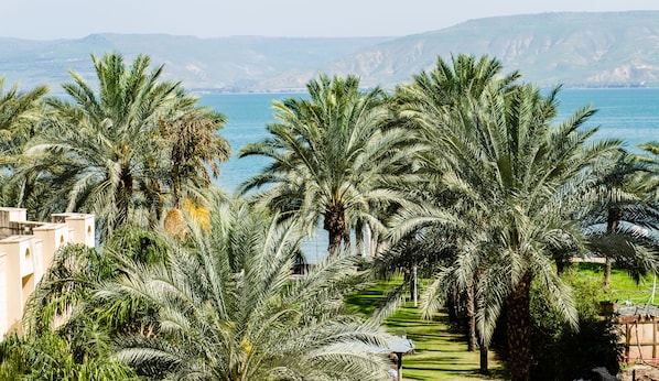 Stroll along the well-maintained pathway lined with palm trees, offering a serene escape to the sea.