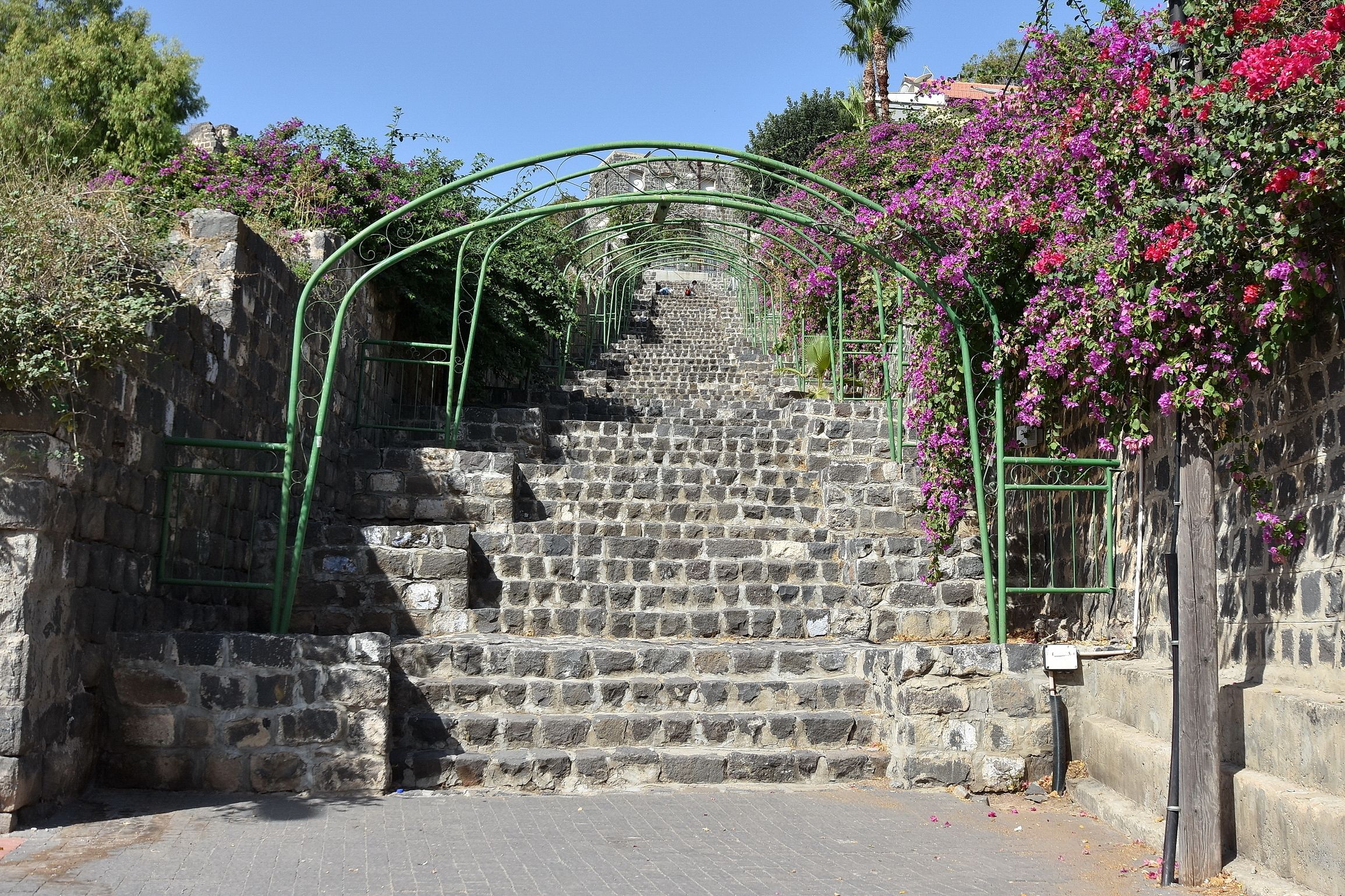 A stone staircase with a green metal railing, surrounded by lush greenery and flowering plants.