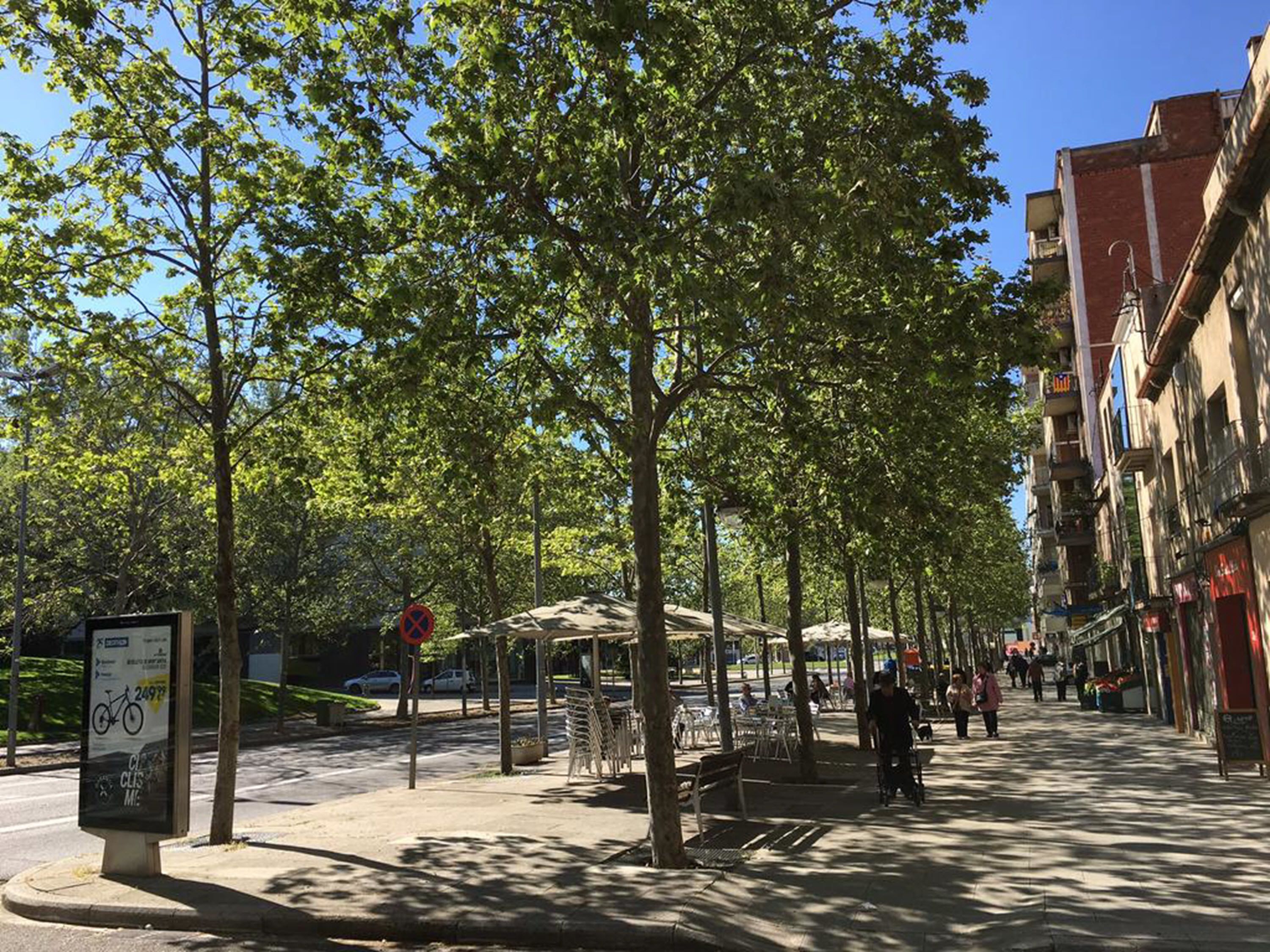 الإطلالة من المنشأة