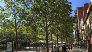 A tree-lined pedestrian street with benches and outdoor seating, surrounded by buildings. - Hostal del Carmen (Terrassa)