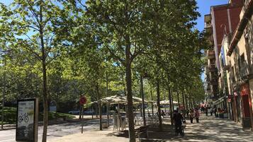 الإطلالة من المنشأة