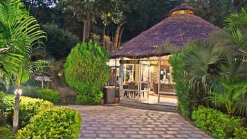 International cuisine