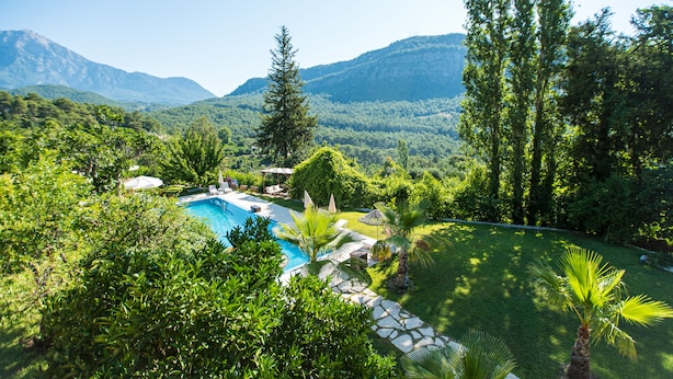 Ein Pool, umgeben von üppigem Grün und Bergen im Hintergrund.