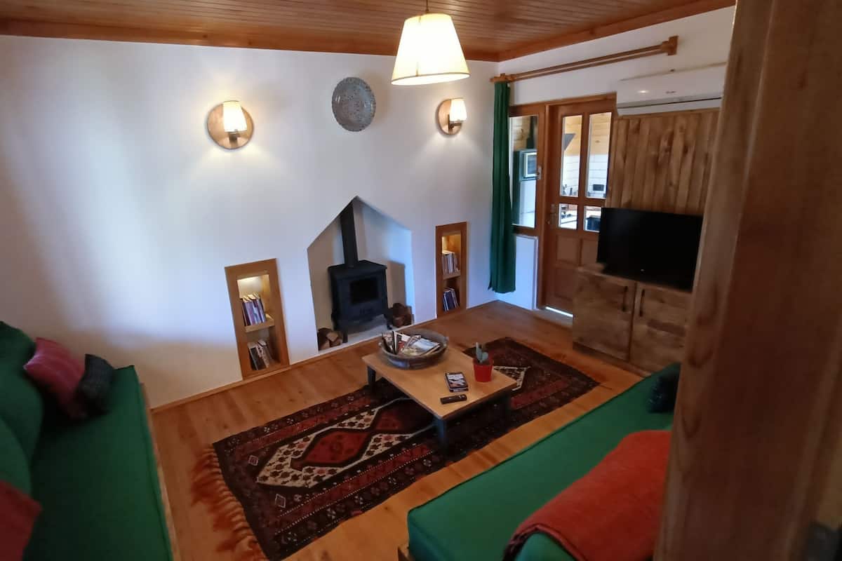 Una sala de estar acogedora con chimenea, muebles de madera y un televisor.