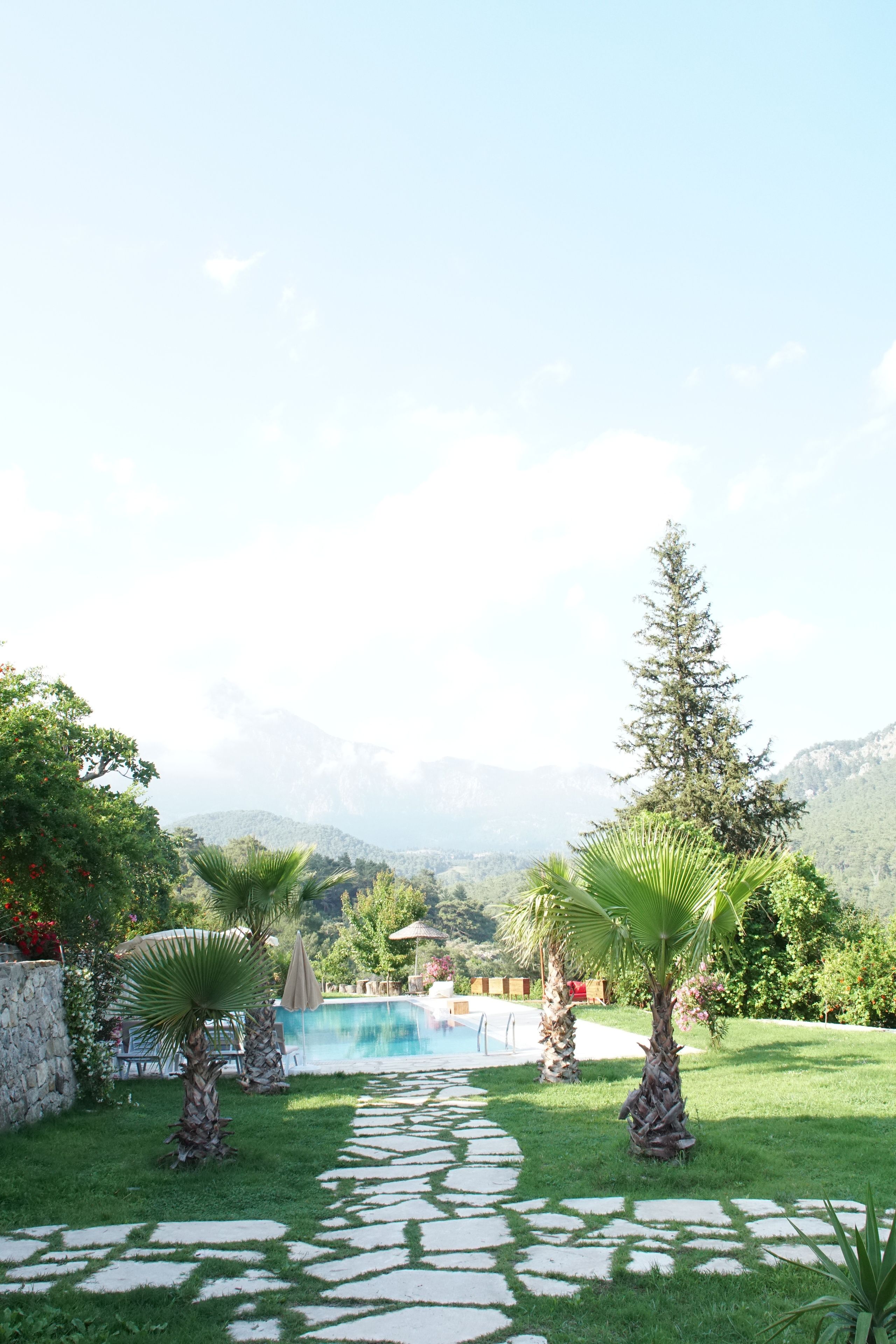 Un área de piscina con senderos de piedra, palmeras y montañas al fondo.