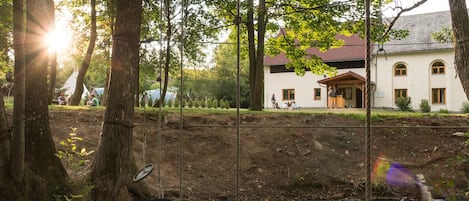 Circuit de cordes (dinàmica de grup)