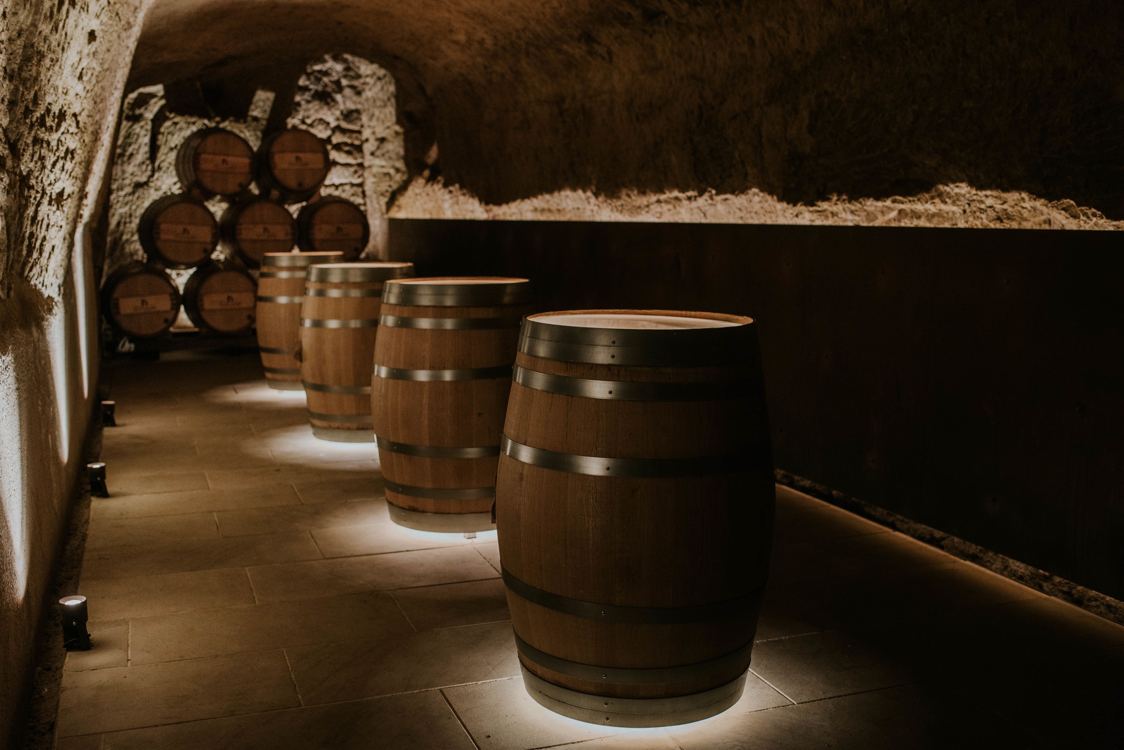 Una hilera de barriles de madera en una bodega tenuemente iluminada con paredes de piedra.