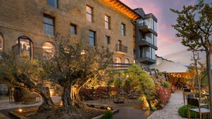 A courtyard with a large tree, outdoor seating, and a building with multiple windows and balconies. - Palacio Tondon, Autograph Collection (Brinas)