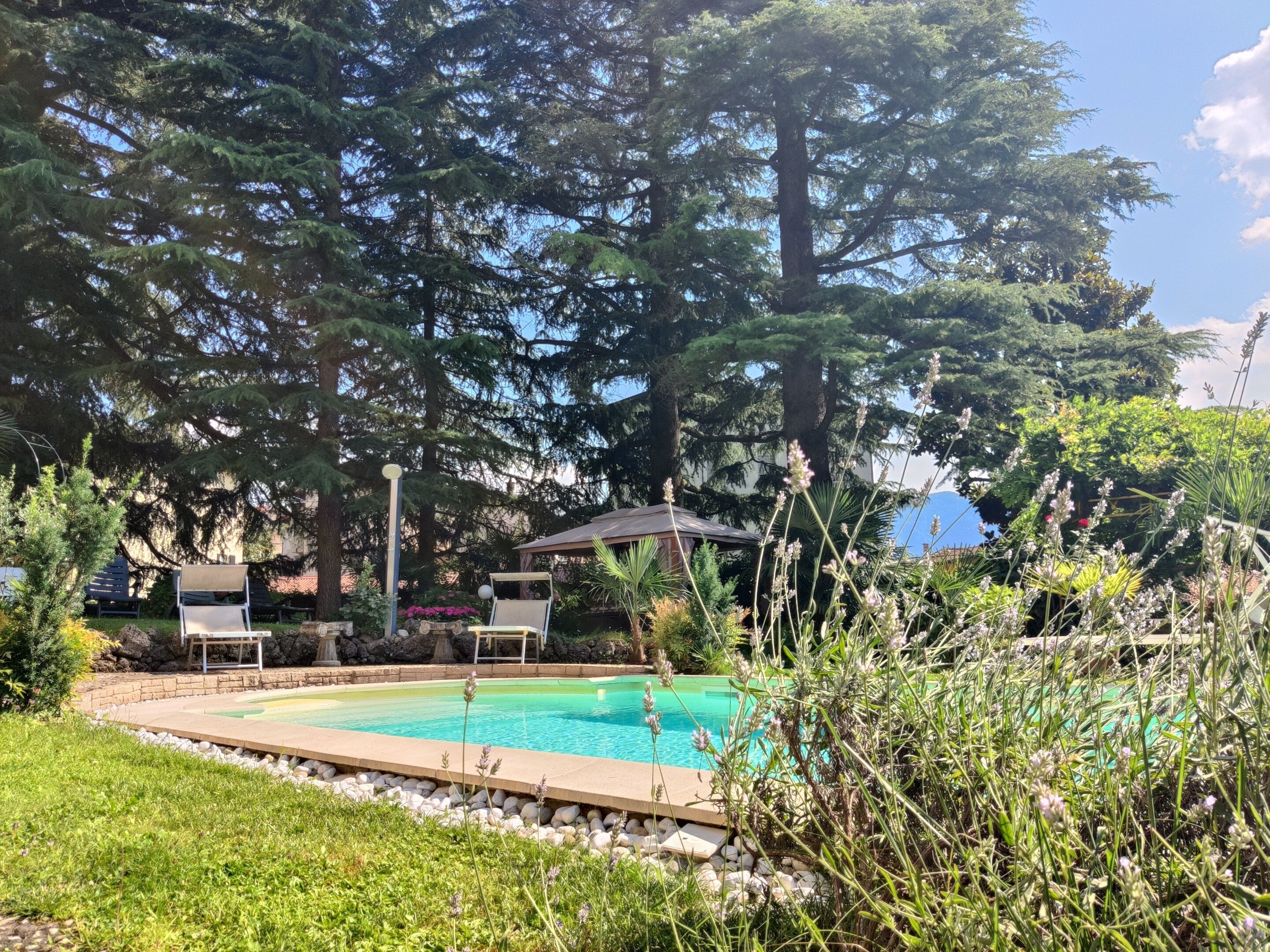 Una piscina rodeada de abundante vegetación y árboles altos. Hay dos sillas de descanso y un pabellón al fondo.
