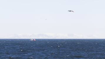 Un barco en un mar tranquilo con una costa montañosa al fondo.