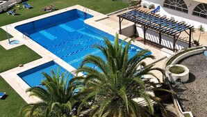 Une piscine avec des chaises longues, une pergola et un petit jardin agrémenté de palmiers.