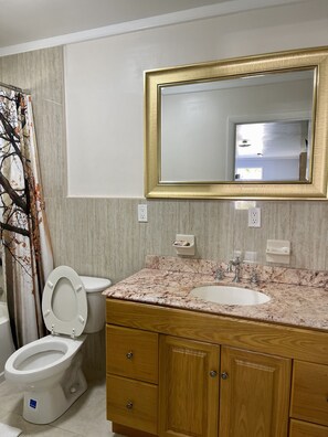 Bañera con ducha, cabezal de ducha tipo lluvia