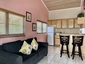 Leilighet – comfort, 1 queensize-seng med sovesofa | Oppholdsområde | En 32-tommers Flatskjerm-TV med Parabol-TV samt TV og Netflix