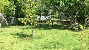 Jardin