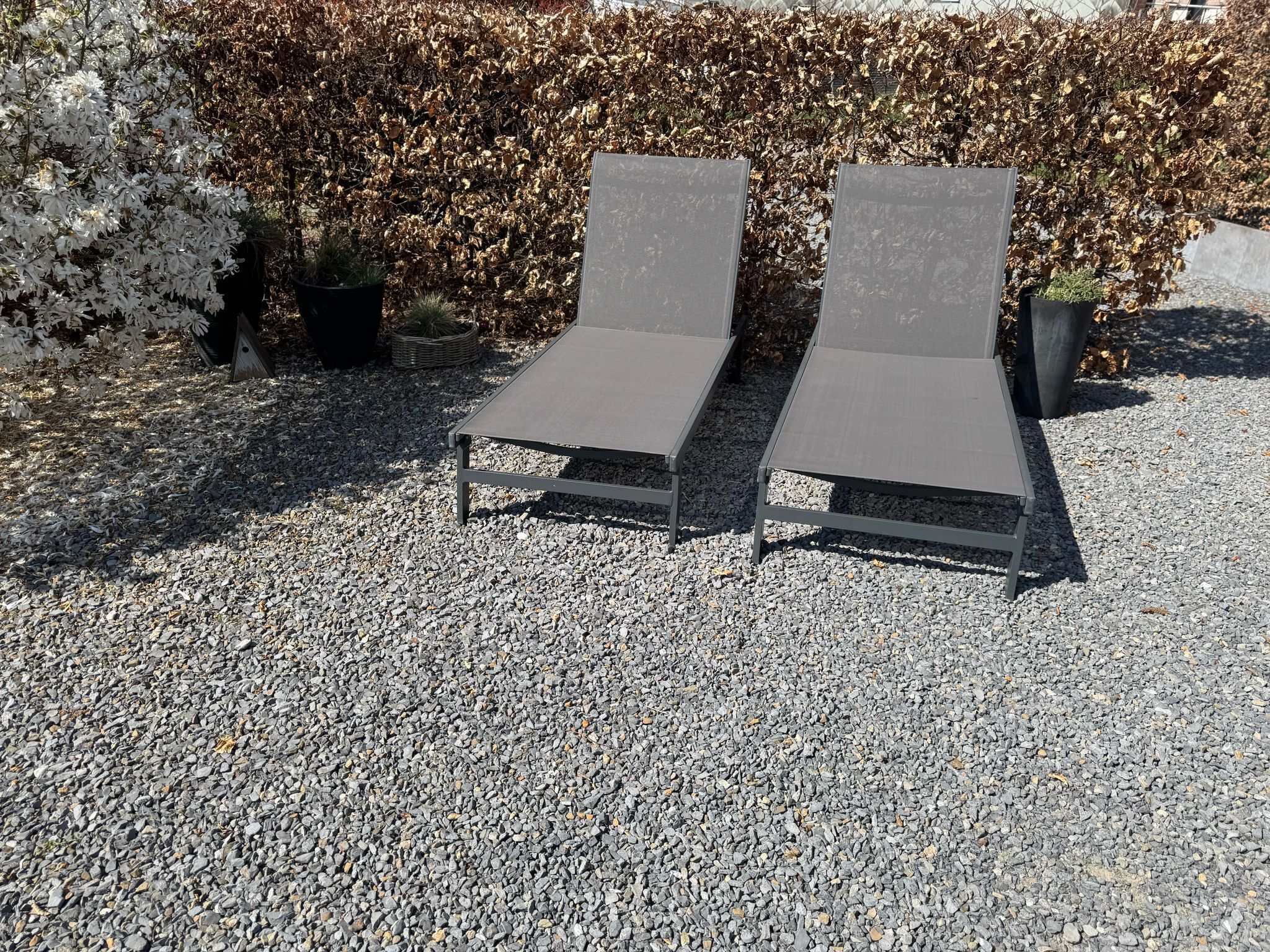 Two outdoor lounge chairs on a gravel surface with a hedge and a potted plant in the background.