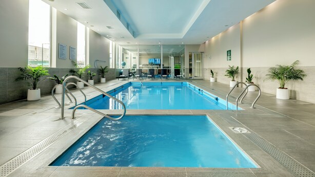 An indoor swimming pool with clear water, surrounded by potted plants, and a modern interior design. - Wyndham Santiago Aeropuerto (Santiago)